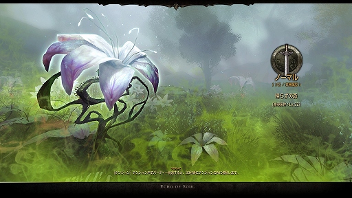 ���������꡼ No.044�Υ���ͥ������ / ��ECHO OF SOUL��EOS�ˡפϡ�MMORPG�����򤵤�Ƴ�ǧ�����Ƥ��������٤褤�ɺ��ʡ�����ǹԤ�줿�ե����������롼�ץƥ��Ȥ��ݡ���