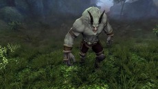 ꡼ No.006 | ECHO OF SOULץե롼ץƥȤΥ󥱡ȷ̤Ψ1̤ϥ쥹ȥ㡼