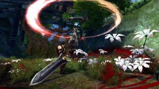 ꡼ No.007 | ECHO OF SOULץե롼ץƥȤΥ󥱡ȷ̤Ψ1̤ϥ쥹ȥ㡼