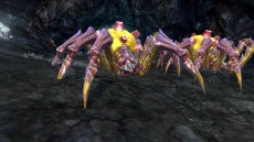 ꡼ No.009 | ECHO OF SOULץե롼ץƥȤΥ󥱡ȷ̤Ψ1̤ϥ쥹ȥ㡼