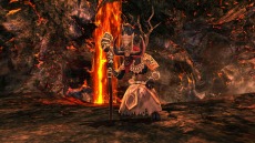 ꡼ No.011 | ECHO OF SOULץե롼ץƥȤΥ󥱡ȷ̤Ψ1̤ϥ쥹ȥ㡼