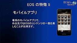 ꡼ No.007 | ˭٤ʥƥĤڤMMORPGECHO OF SOULפΥץ¥ƥȤ716˥ȡ饹˥奢Хо