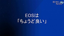 ꡼ No.009 | ˭٤ʥƥĤڤMMORPGECHO OF SOULפΥץ¥ƥȤ716˥ȡ饹˥奢Хо