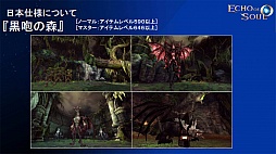 ꡼ No.015 | ˭٤ʥƥĤڤMMORPGECHO OF SOULפΥץ¥ƥȤ716˥ȡ饹˥奢Хо