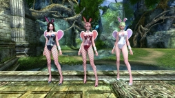 ꡼ No.015 | EOSס󥭥ڡ󤬥ȡС٥Ȥ»ͽ