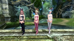 ꡼ No.016 | EOSס󥭥ڡ󤬥ȡС٥Ȥ»ͽ