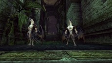 ꡼ No.011Υͥ / ECHO OF SOULס󥹥󥹥󥸥˲ǹ١ȥ쥸ɡɤо졣10εᥤ٥ȡ֥ӥեȡפ⥹