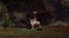 ꡼ No.012Υͥ / ECHO OF SOULס󥹥󥹥󥸥˲ǹ١ȥ쥸ɡɤо졣10εᥤ٥ȡ֥ӥեȡפ⥹