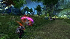 ꡼ No.017Υͥ / ECHO OF SOUL׿ʥ쥤ɥ󥸥֥إפ20ͤΥץ쥤䡼ȶϤƶϤʥܥĩ⤦