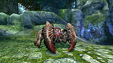 ꡼ No.019Υͥ / ECHO OF SOULס٥󥸥ʤɤɲä륢åץǡȡEpisode2.1פ»ܡϥ󥷡˹碌ָ