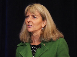 ������#002�Υ���ͥ���/��GDC 2014��Intel��������ϥ������CPU��Haswell-E�פλ����åפ���Ϫ��All-in-One PC�λ���ǥ��Project Black Brook�פ�