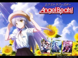 ꡼ No.008 | Ρ֥󥹥쥯 TCGפ֥ɤǺƻưGOD EATERפȤΥܤȯɽ줿֥֥άȯɽ 2011ʲơˡץݡ