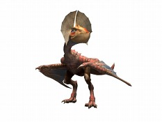 ꡼ No.002 | iPhoneѥ֥󥹥ϥ󥿡 Dynamic Hunting61ۿꡣơꥢǶϥץ쥤ǽʤ800