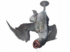 ꡼ No.008 | iPhoneѥ֥󥹥ϥ󥿡 Dynamic Hunting61ۿꡣơꥢǶϥץ쥤ǽʤ800