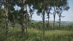 ꡼ No.005 | Arma 3פκǿĥѥåArma III: Contactפ꡼ꥢνи˷Ϥɤн褹Τ