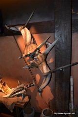 ꡼ No.013 | ưդʪΥꥪ쥦礭ä˥С롦ѥǡ֥󥹥ϥ󥿡ꥢפθƤ