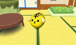 画像ギャラリー No.005のサムネイル画像 / ねぇ知ってる?ニンテンドー3DS用ソフト「豆しば」の発売日が10月27日に決まったんだって。ゲーム画面の一部も公開されたのでチェックしよう
