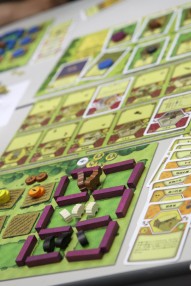 ꡼ No.014Υͥ / ˥ȥץ饹⥬֥ɥߥ˥פܺǶץ쥤䡼ꤷ֥ۥӡѥ եƥХץݡȤǺ