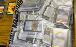 ꡼ No.013Υͥ / ֥ɥߥ˥Ԥ2ǯϢ³ڽФ֥ɥߥ˥˲פȤϰΤʤʤΤζ̩ݡȤǺ