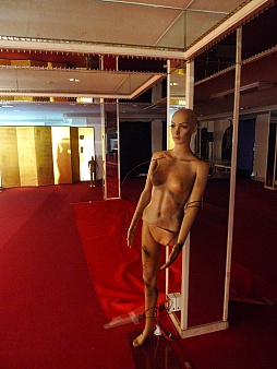 ꡼ No.006Υͥ / ˥ޥ͸ƻҤϵæ!?δæХ ȥҥ ٥졼REALפθƤ