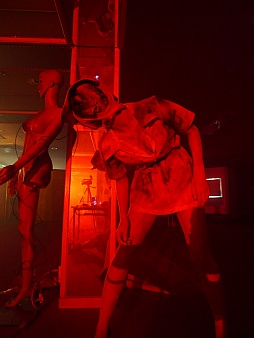 ꡼ No.010Υͥ / ˥ޥ͸ƻҤϵæ!?δæХ ȥҥ ٥졼REALפθƤ