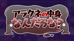 ꡼ No.016 | BLAZBLUE׸WEB饸֤֤餸WסTGSǤָۿ