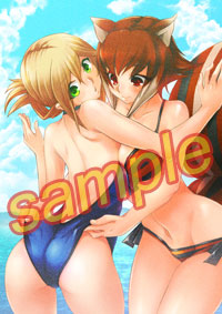 ꡼ No.016 | BLAZBLUE CONTINUUM SHIFT EXTENDפŹ̹ŵΥץʤȾæѤ 