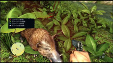 ꡼ No.015 | ֥ե饤3ס롼ɤȴΥƥ˥åҲ𤹤֥ХХ륬ɥȥ쥤顼3ܤƱ