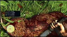 ꡼ No.016 | ֥ե饤3ס롼ɤȴΥƥ˥åҲ𤹤֥ХХ륬ɥȥ쥤顼3ܤƱ