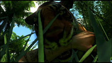 ꡼ No.025 | ֥ե饤3ס롼ɤȴΥƥ˥åҲ𤹤֥ХХ륬ɥȥ쥤顼3ܤƱ