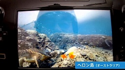 ꡼ No.097Υͥ / ȥ䡤Googleȥ꡼ȥӥ塼褫եȤʤɤ줿Nintendo Direct 2012.12.5ץݡ