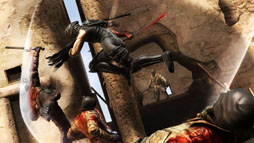 ꡼ No.007Υͥ / E3 2012Wii UǤȥϡNINJA GAIDEN 3: Razors Edgeפ˷ꡣǿȥ쥤顼ӥ꡼󥷥åȤǥ奦ϥ֥γå