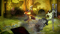 ꡼ No.004 | ֥ɥ饴󥺥饦פΥҲࡼӡ2ơ֥쥹ԤˡƱ餸׻ҤΥʥ졼