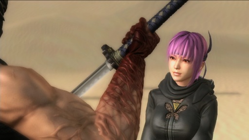 ꡼ No.005 | PRۡNINJA GAIDEN 3פΥץ쥤ࡼӡǡ󤬶Ǥڤץ쥤HEROפʤɡοǤå褦 