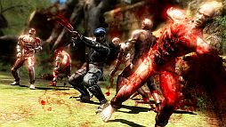 ꡼ No.022 | NINJA GAIDEN 3ͭDLC1ƤXbox360ǤۿPS3Ǥ5