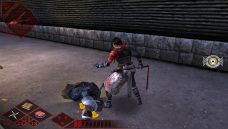 ꡼ No.029Υͥ / Ǧƻ2 ڡס饯ֱספξ󤬸κŷפᤰΥץ餫