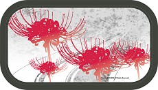 ꡼ No.003Υͥ / Ǧƻ2 ڡפθǤۿϡPS Vitaѥꥸʥ륱館륭ڡⳫ