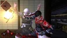 ꡼ No.005Υͥ / Ǧƻ2 ڡפθǤۿϡPS Vitaѥꥸʥ륱館륭ڡⳫ