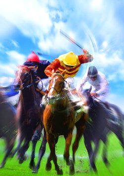 ƥ⥲ॹ֥åबȤChampion Jockey: Gallop RacerGI Jockeyפ9ȯ䡣ץ쥤ࡼӡǺ