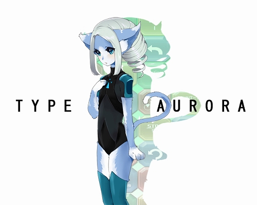 ꡼ No.004 | ֥֥饦 ͡ϡȡספΣХɥɡTYPE-פɲ