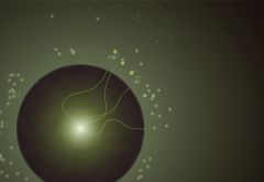 ���������꡼ No.004�Υ���ͥ������ / �����ʷ�ϵ���RTS�������Ȥ��ʤ���������RTS��Eufloria�����ܸ��Ǥ��о�