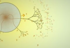 ���������꡼ No.005�Υ���ͥ������ / �����ʷ�ϵ���RTS�������Ȥ��ʤ���������RTS��Eufloria�����ܸ��Ǥ��о�