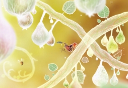 ���������꡼ No.001�Υ���ͥ������ / PLAYISM����Botanicula�פ�ͽ����դ򳫻ϡ�����50��off�Υ����ڡ����