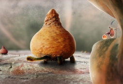 ���������꡼ No.004�Υ���ͥ������ / PLAYISM����Botanicula�פ�ͽ����դ򳫻ϡ�����50��off�Υ����ڡ����