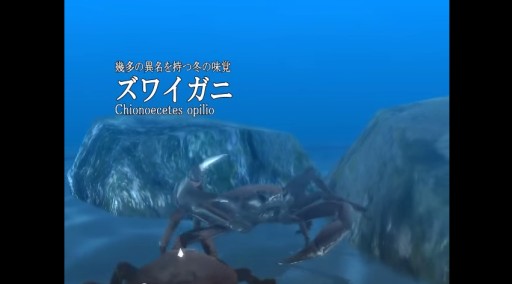 ͥꥦ-ó̲- ץ⡼ࡼӡ