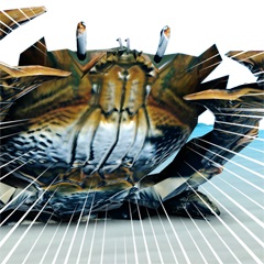 ꡼ No.015Υͥ / TPSAce of SeafoodפPS4ۿϡPLAYISMΥǥŸ