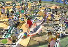 ꡼ No.001Υͥ / ֥ƥ䤫CBTʷϵ狼륹꡼󥷥åȤҲ