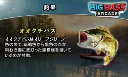 ���������꡼ No.010�Υ���ͥ������ / 3DS�����֥ӥå��Х� ���������ɡפ������ۿ����ϡ��Х����̾�ͤ��ܻؤ���