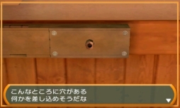 ������#019�Υ���ͥ���/�֡�SIMPLE DL���꡼��Vol.24 THE ̩�������æ�� ��������ʤ������ԡ��פ������ۿ���������