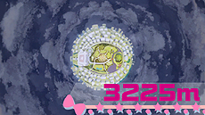 ꡼ No.020 | 󥿡󥷥åסǤŷƲॻߥʡ 2014פǼWii Uȥ4ܤۿȡʤ̵